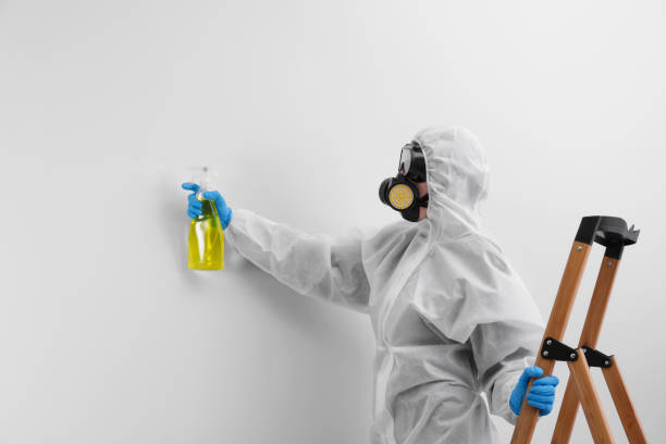 Best Biohazard Mold Removal  in Palmer, AK